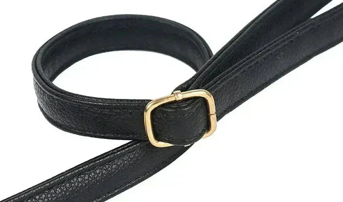 Anine