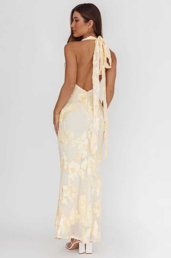 Cipriana maxikjole – mesh-eleganse